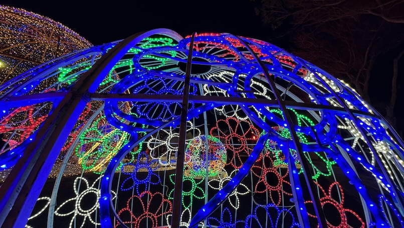 Flower lantern installation